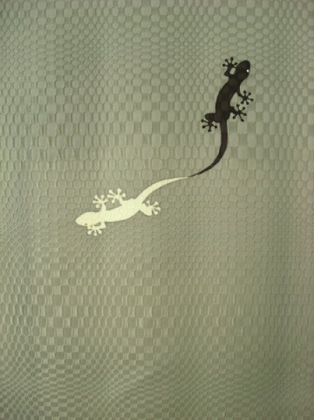 画像5: 紋綸子利休ねず色地名古屋帯＊ヤモリ５（未仕立） (5)