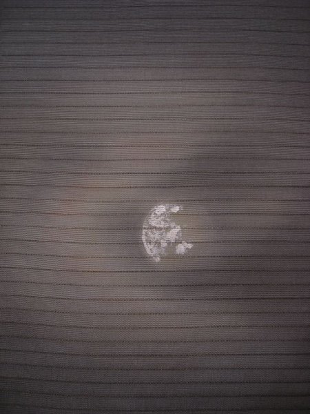 画像3: 塩瀬絽濃墨色地名古屋帯＊月に虫籠（未仕立て） (3)